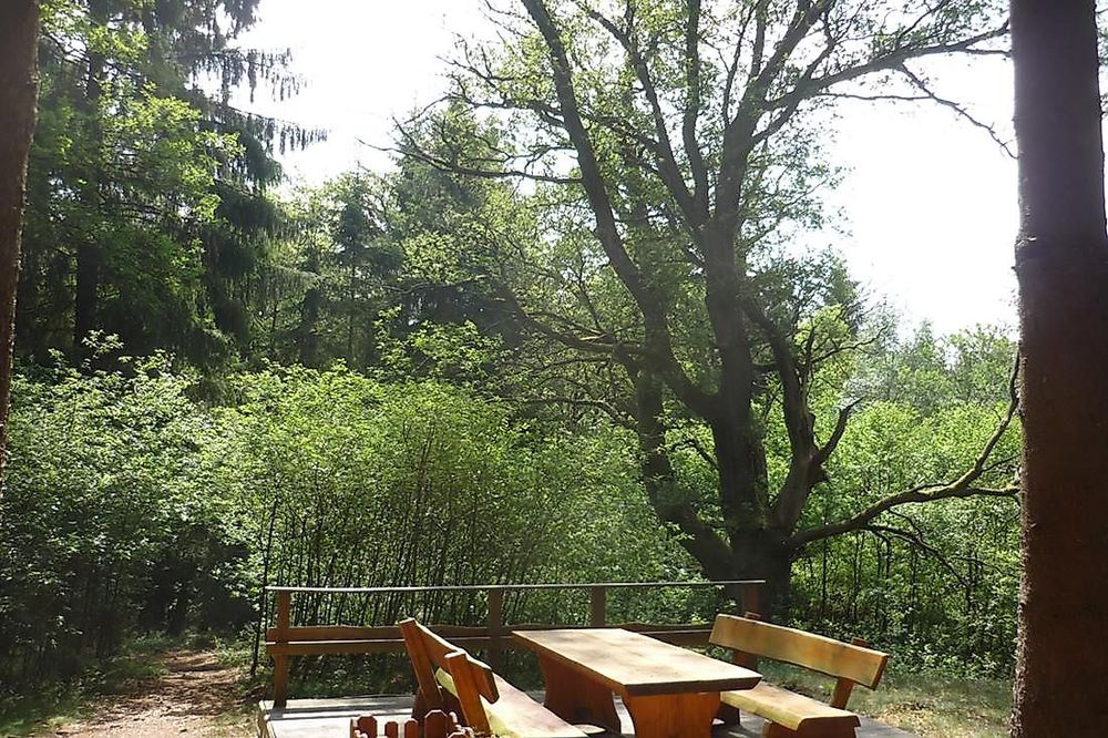 Traumschleife Bärenpfad b8lch2