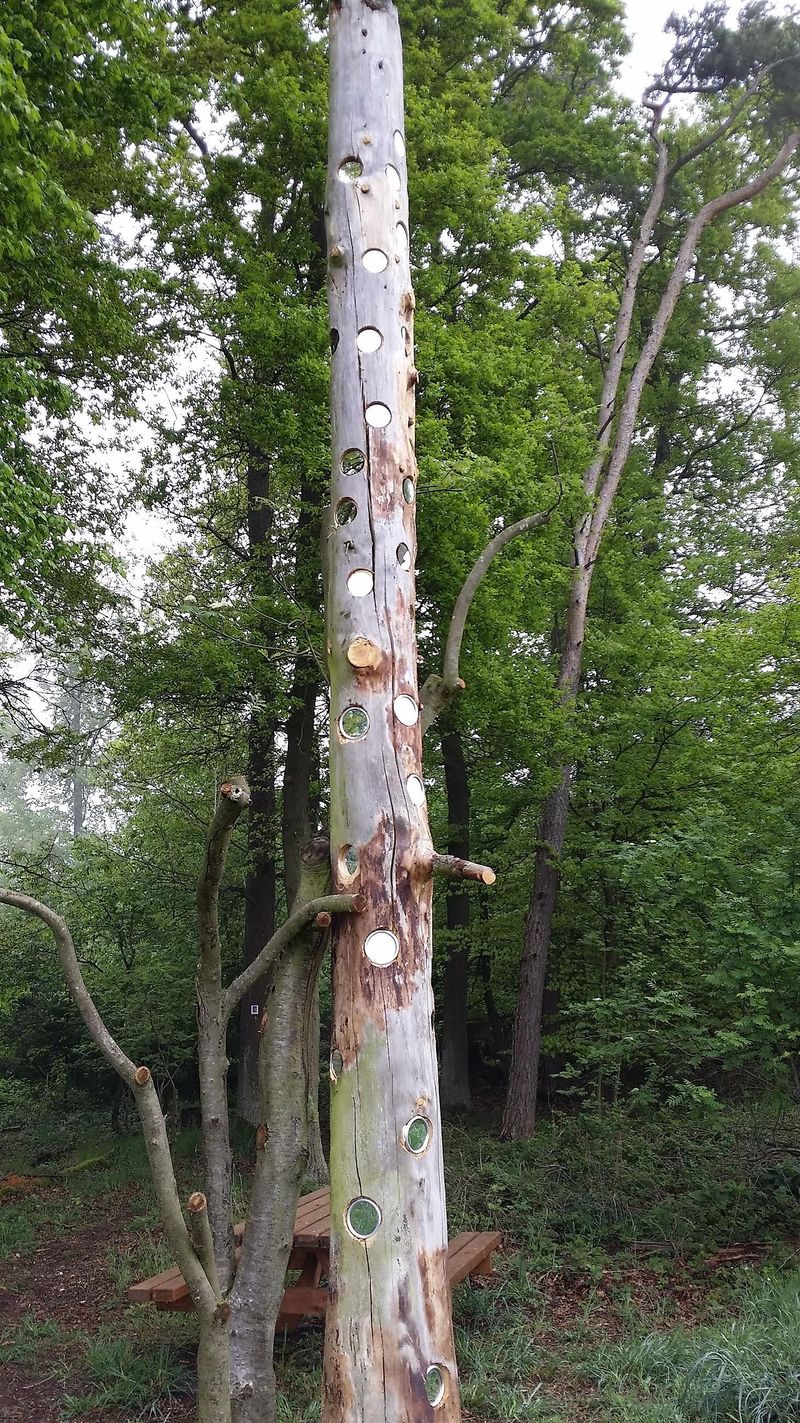 pois/ga-denk-pad-xspiegelboom-56a5