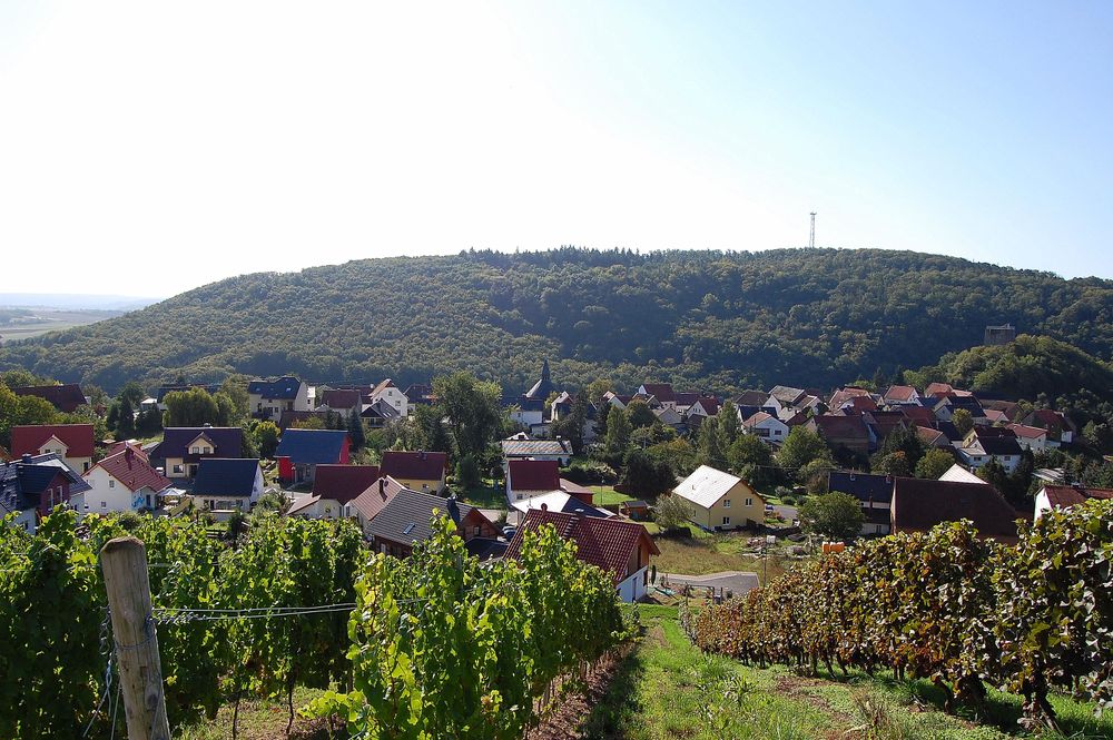 Burgsponheimer Grafenrunde b99mw7