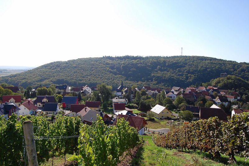 touren/burgsponheimer-grafenrunde-071a
