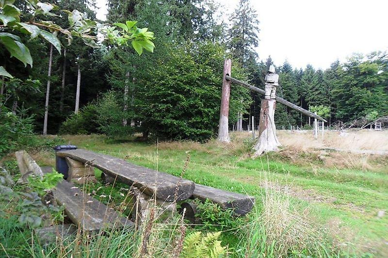Traumschleifchen Weiskircher Wildkatzenpfad b95b0p