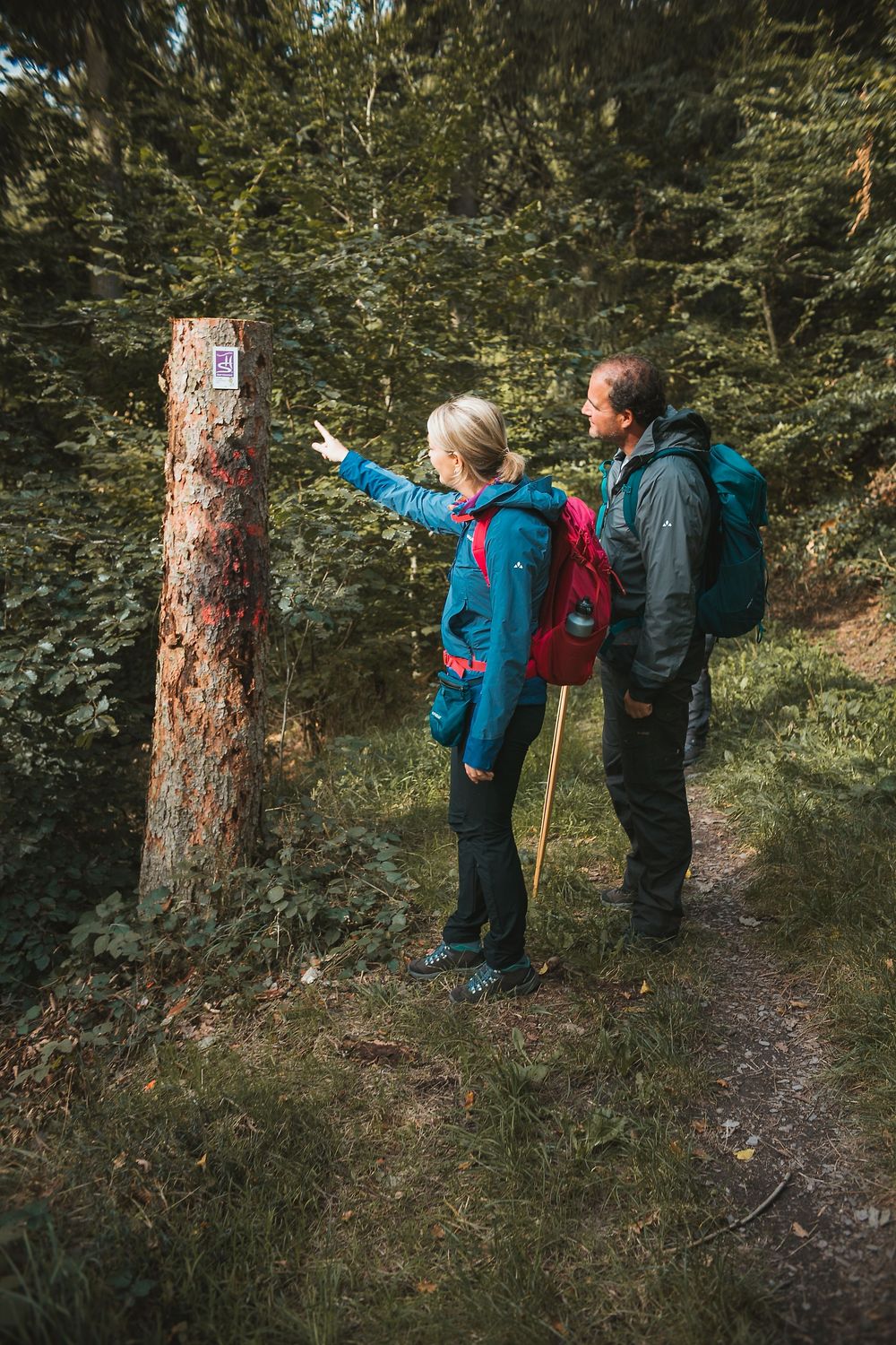 Traumschleife "STUMM Eisenhütten Weg" b7lap0