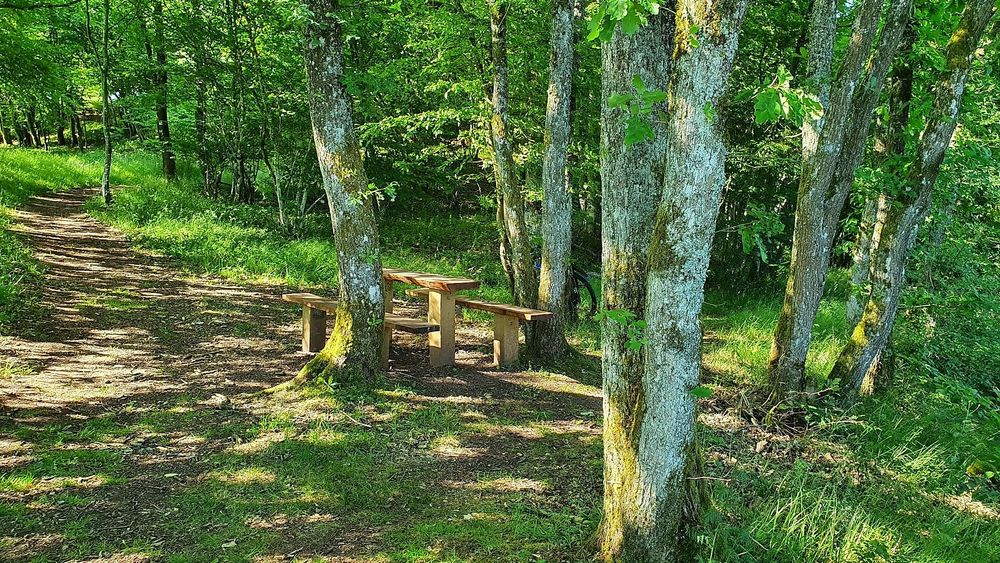Aussichtspunkt Wildelei b87i74