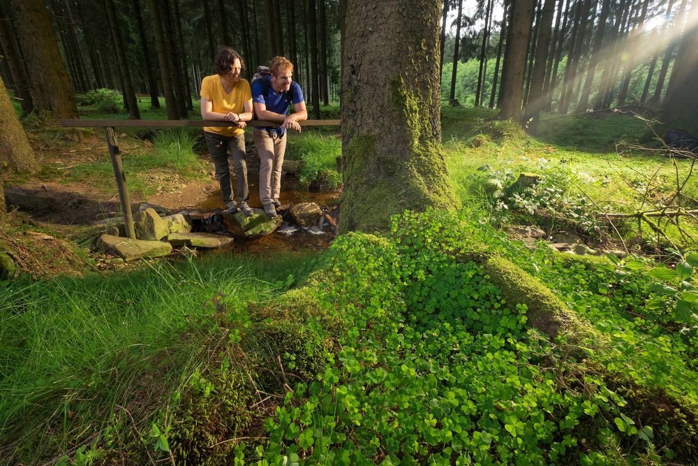 Nationalpark Traumschleife Trauntal Höhenweg b0n1m5