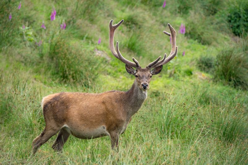 Nationalpark Traumschleife Börfinker Ochsentour 122kic