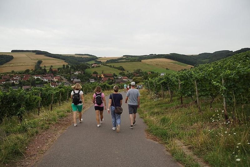 WeinWanderWochenende Kirschroth 123i7a