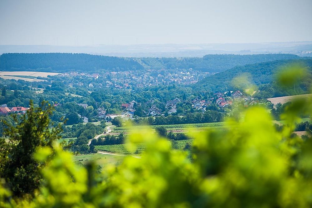 Vitaltour Stein, Wein & Farbe 11pyxl