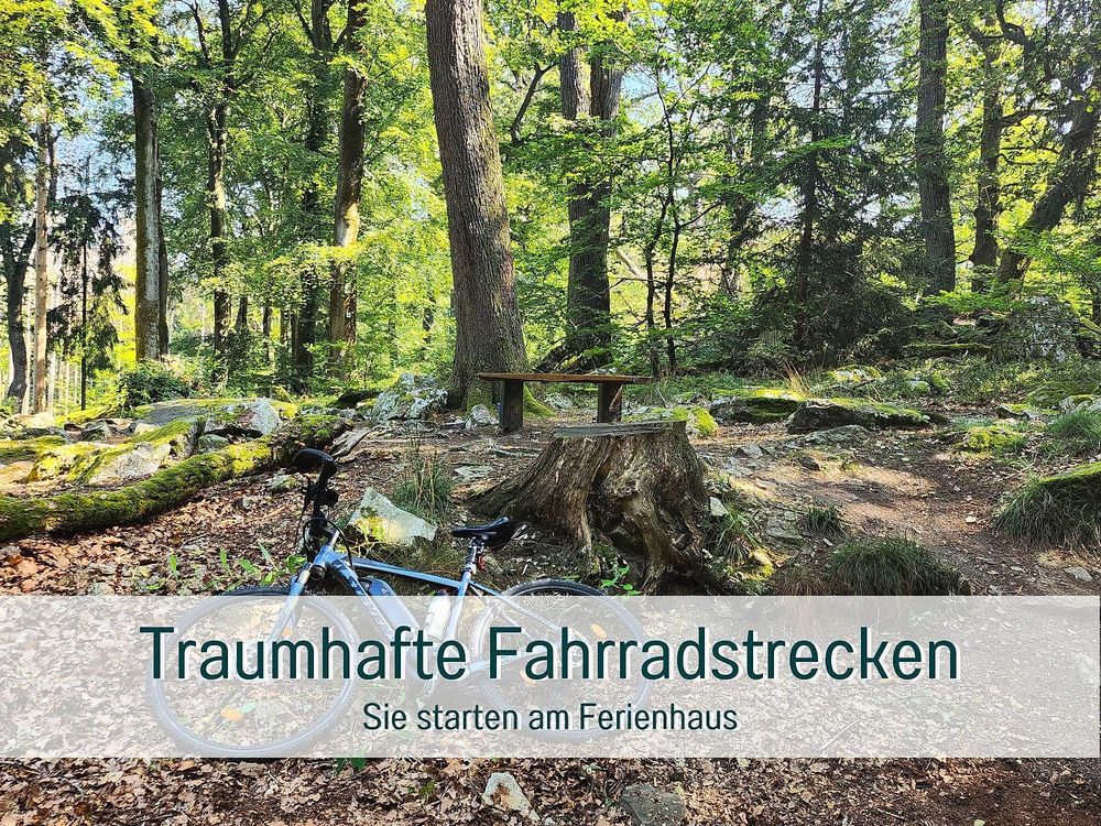 Traumweiler 12vki7