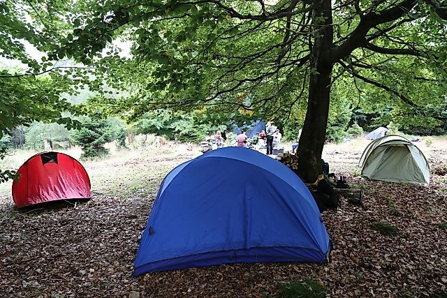 Soonwaldsteig   Etappe 3: Simmerbachtal Ellerspring 13z7dg