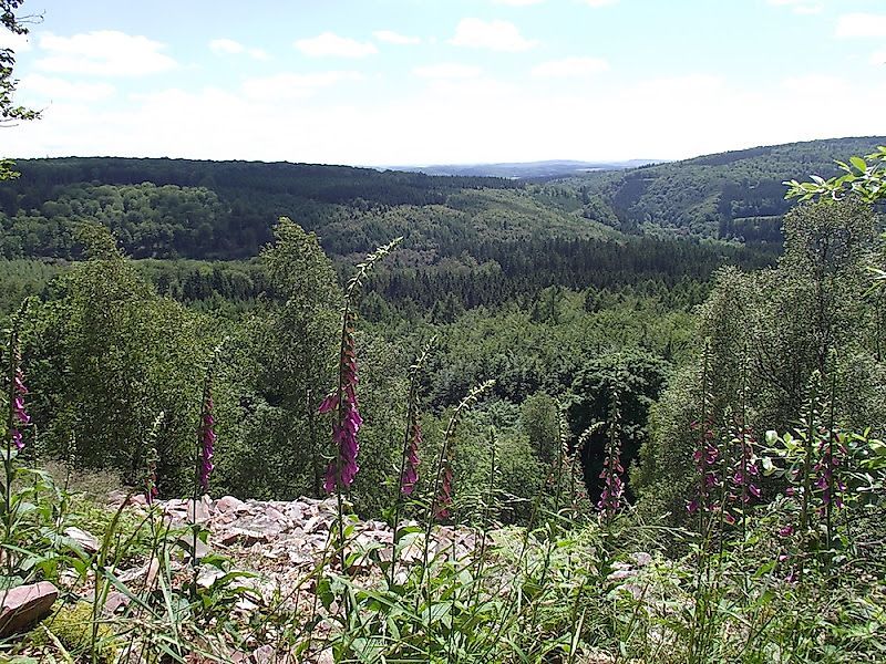 Nationalpark Radquerung 8 13ylda
