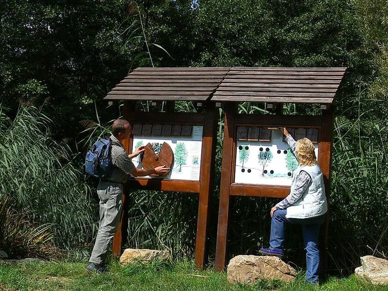 tochten/familien-wandertour-op-de-hahnenbachtaltour-2902