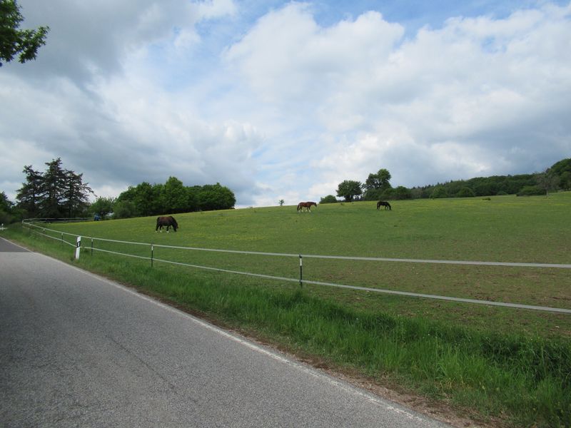 Schöner Berg Weg 18gm8d