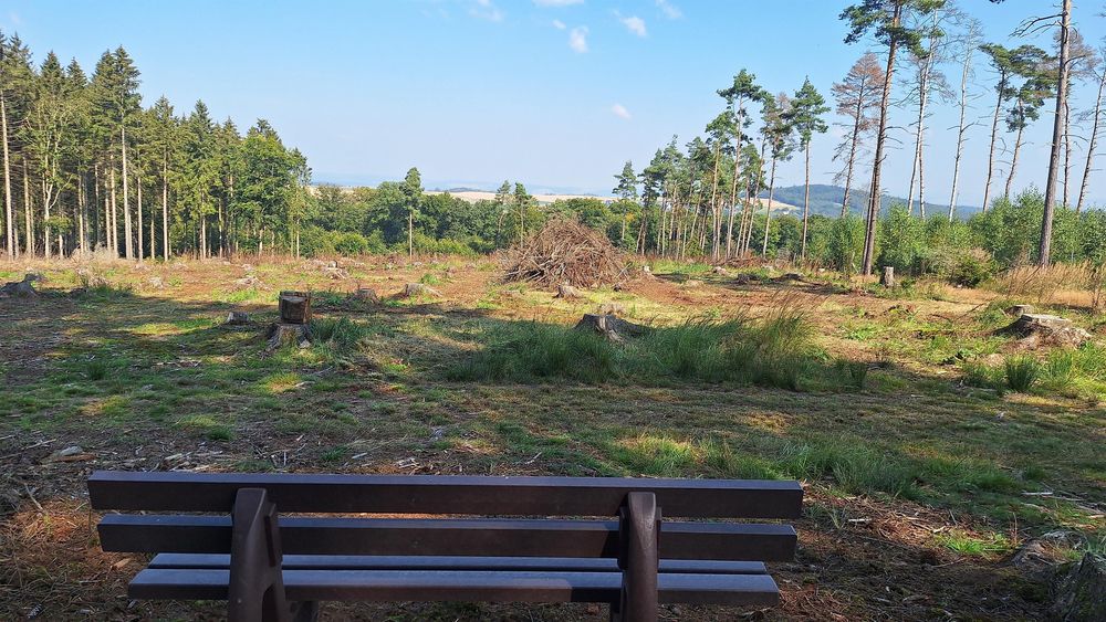 Kinderwald am Grenzgängerweg 19trvo