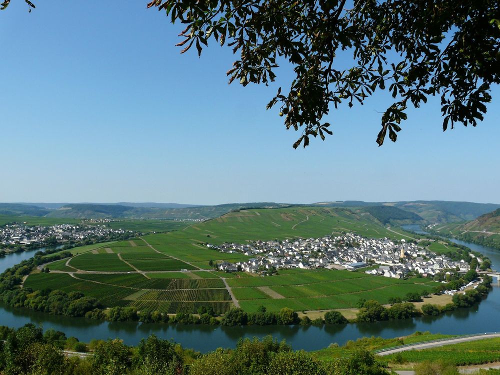 Ferienhaus Haus Waldblick a9gfnj