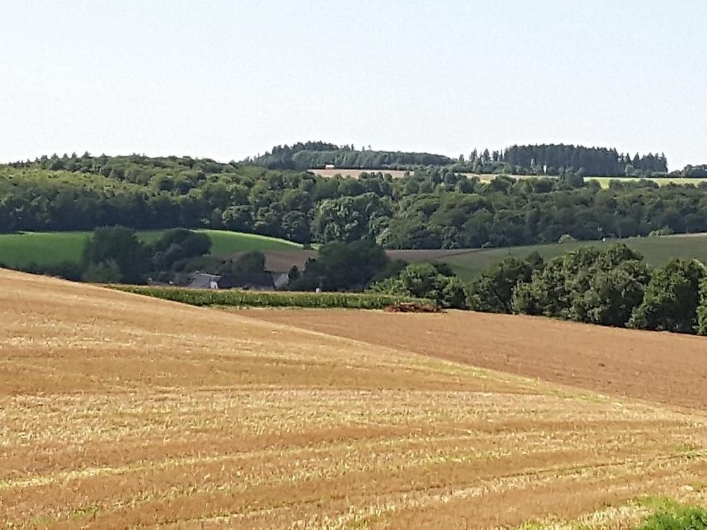 Ferienwohnung Marquardt a9g781