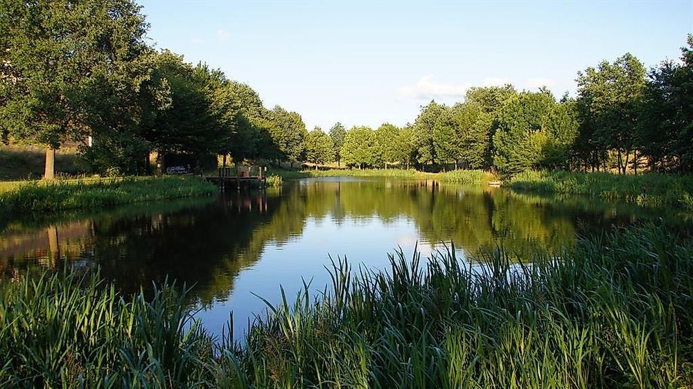 Ferienhaus am Flaumbach a6viul