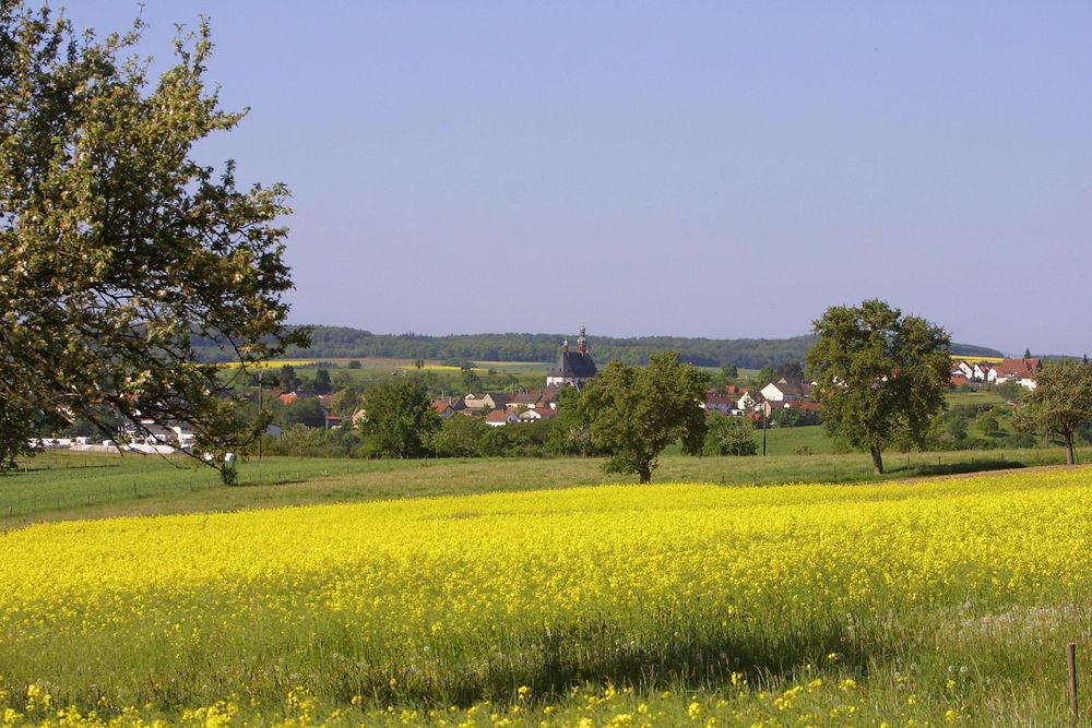 Gelber Punkt: Rüdesheim/Nahe Gräfenbacherhütte Opelwiese a5zp6y