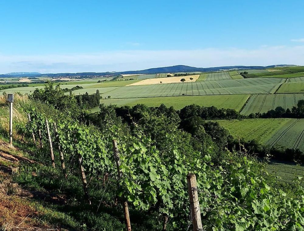 Weingut Arno Merz a1hqlm