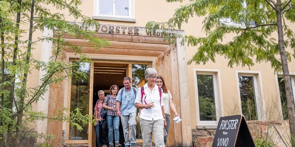 Wandern mit Weinpicknick für 2! a0mgf9