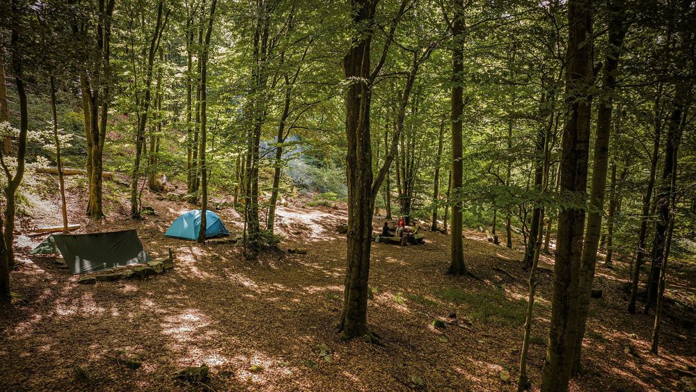 B Trekkingcamp Alteburg am Soonwaldsteig 222ok2
