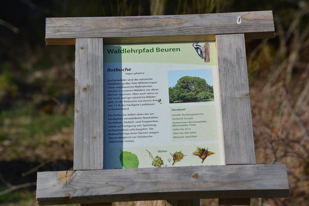 Naturerkundungspfad Beuren 21l9wx