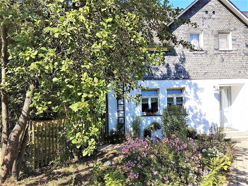 accommodaties/vakantiehuis-luetzelsoon-231a