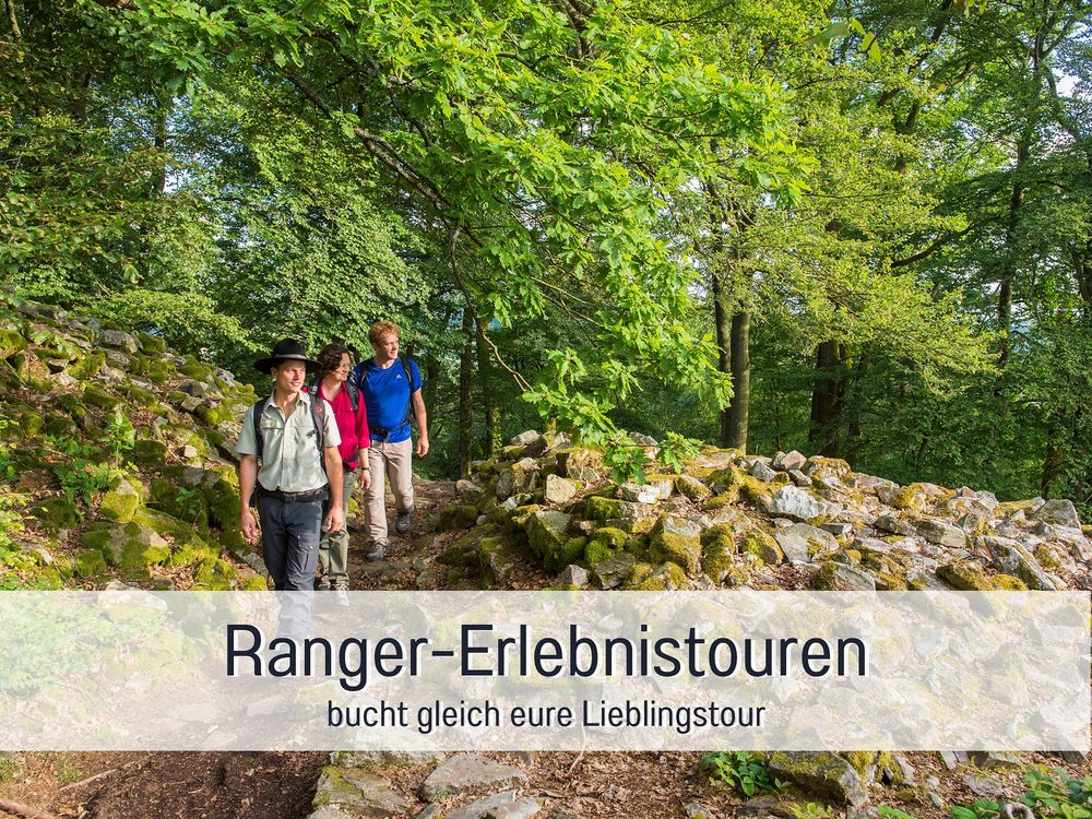 Naturchalet Zum Nationalpark "Marie Luise" 23hrcf