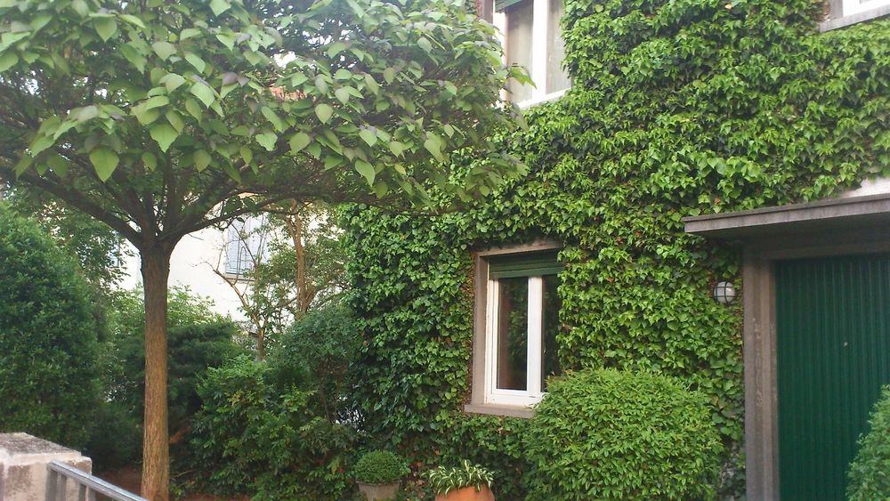 Ferienappartement Maler Müller 2608f9