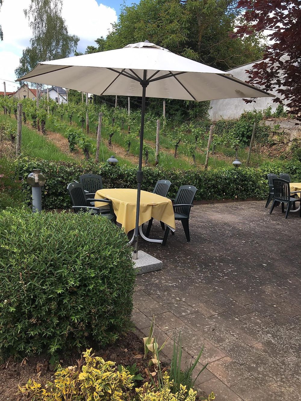 Weinhaus Hehner Kiltz 264ap6