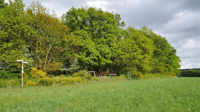 Eifelblick  Traumschleife Oberes Baybachtal 270ys0