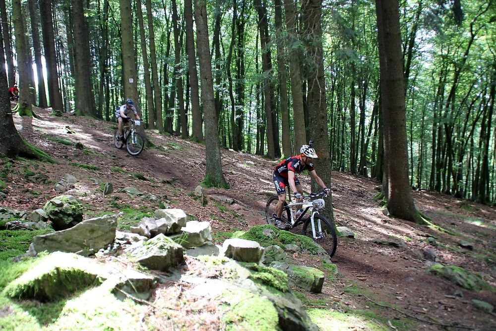 Mountainbiking im Hochwald 26lthu
