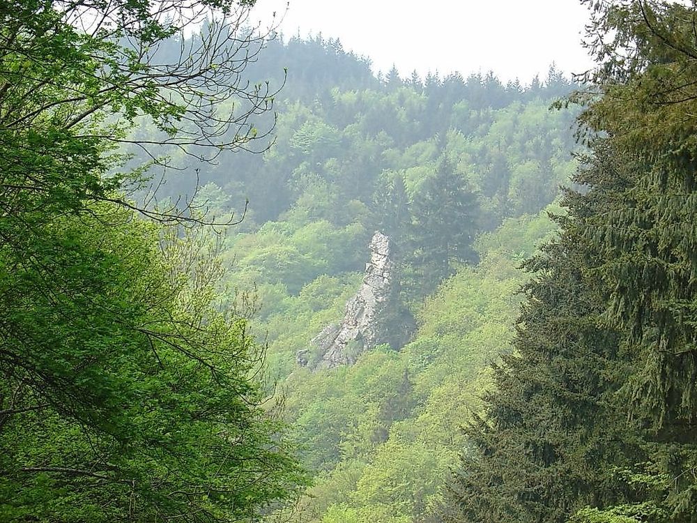 Soonwaldsteig   Gesamtstrecke 2975gs