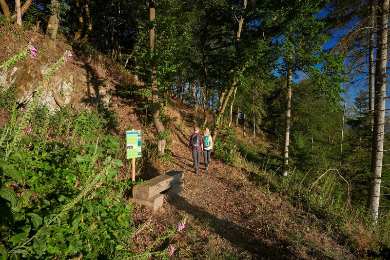 Traumschleife Schiefer Wackenweg 1afa4j