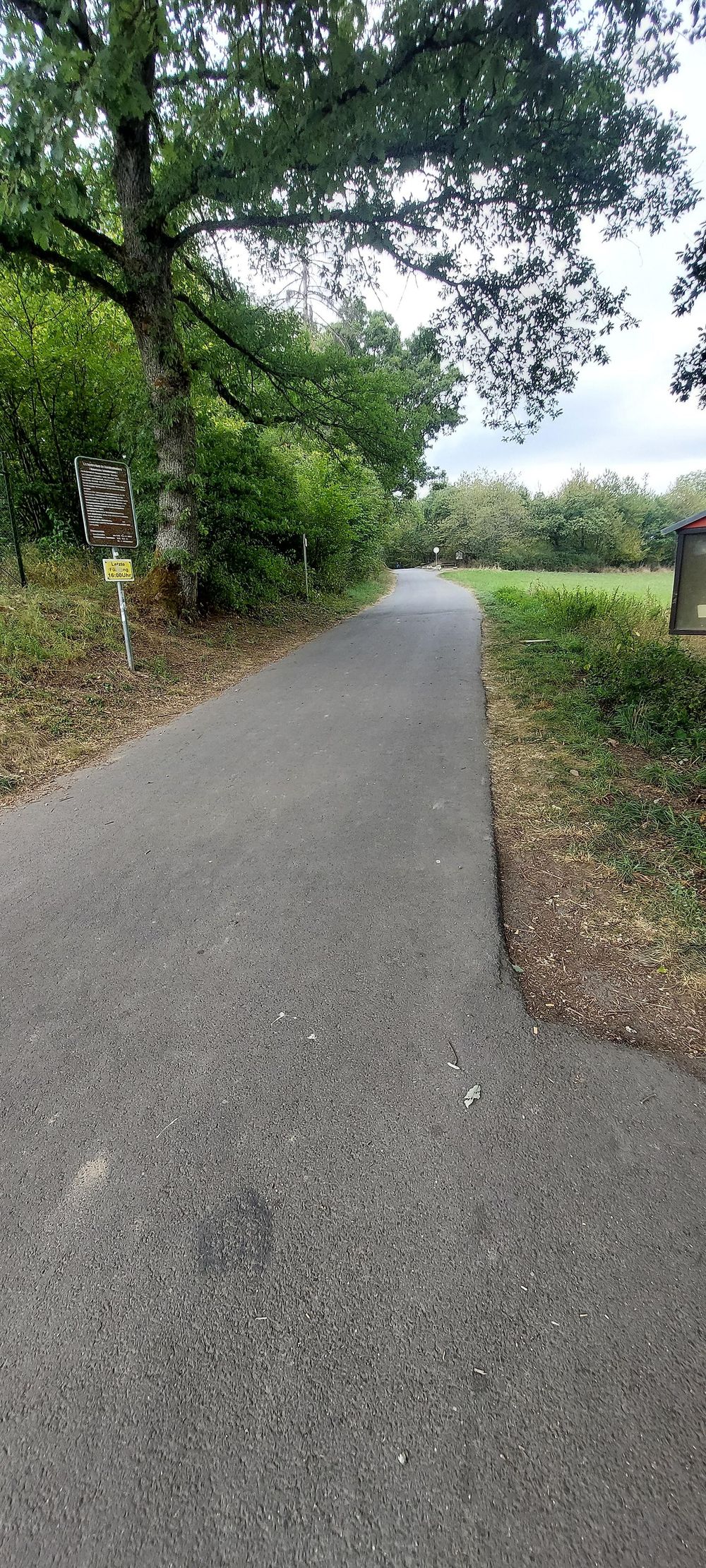 Fußweg zu den Edelsteinminen im Steinkaulenberg 1ck05s