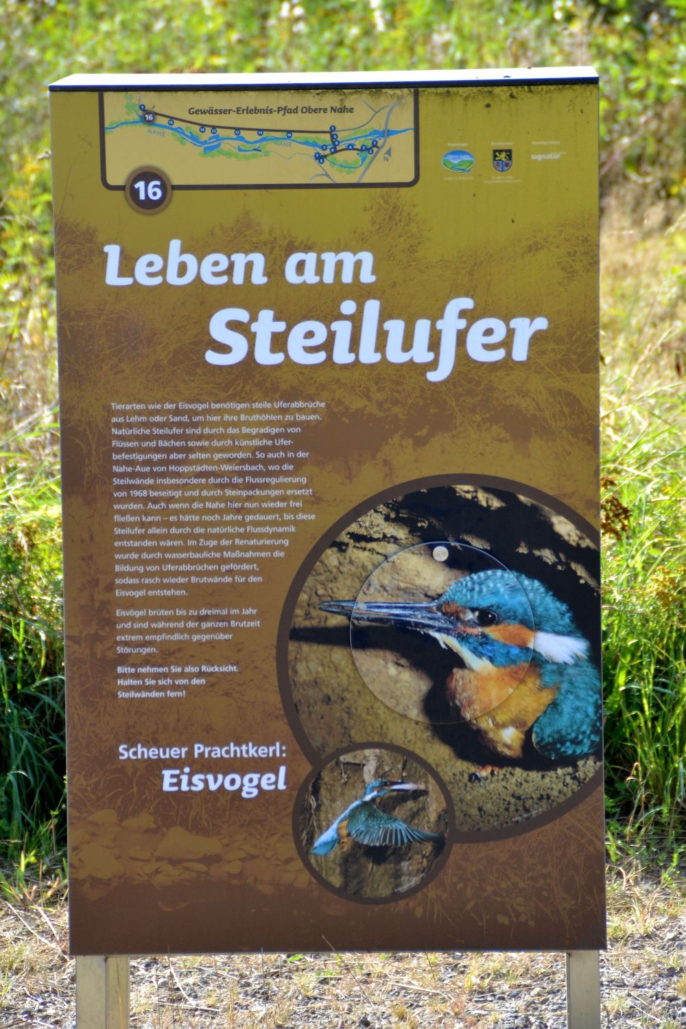 Gewässer Erlebnis Pfad Obere Nahe 1fjzqe