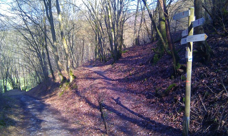 Soonwaldsteig   Zuweg Schneppenbach 1j49zm