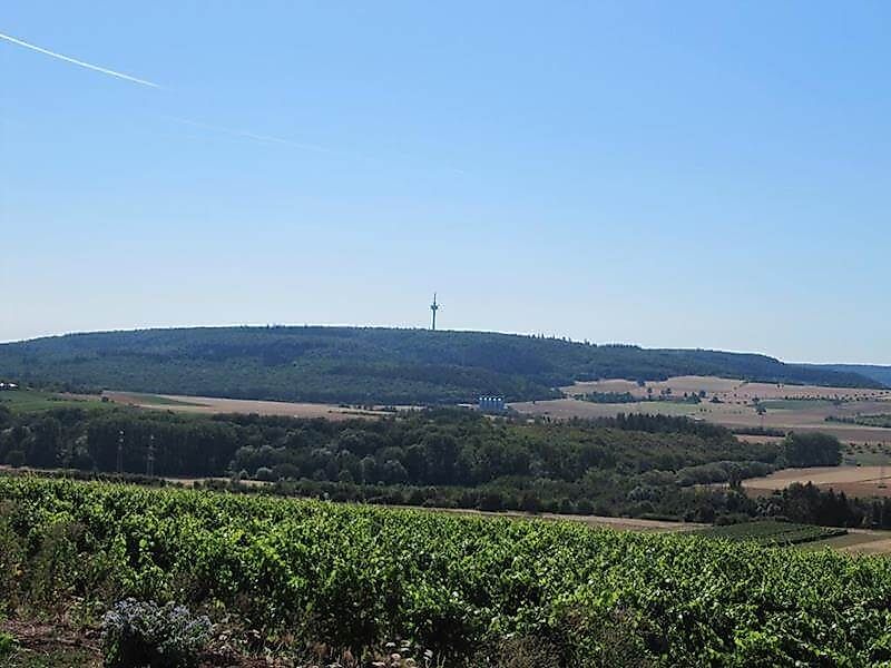 Rosengarten Rundweg Rüdesheim 1kk7zc