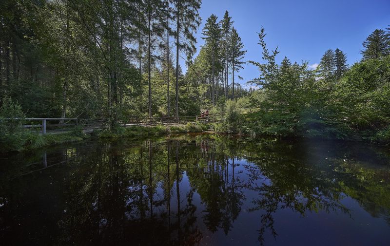 pois/nixenweiher-e250