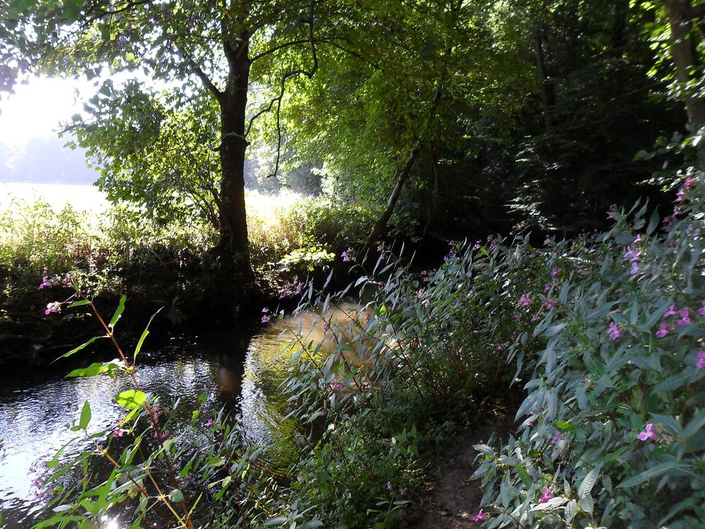 Genießer Wäldchen Tafeltour 336iu5