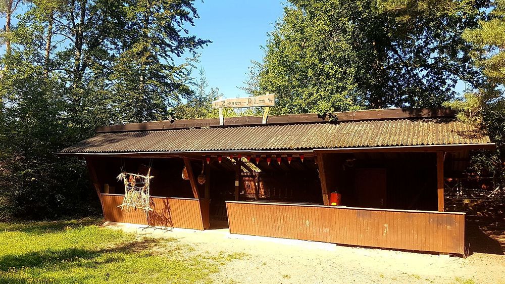 Damscheid Rundweg Fichte 1qabkk