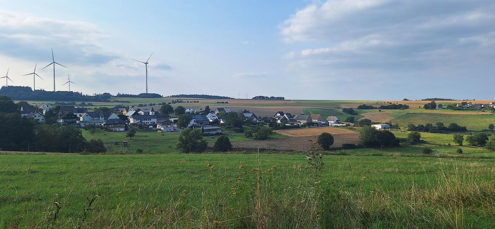 Ginsterberg in Birkheim 34rwac