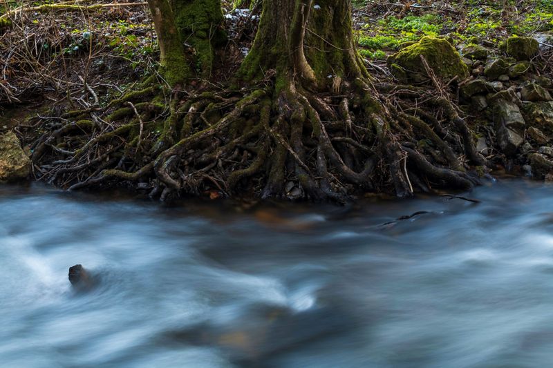 Weg des Wassers 369aia