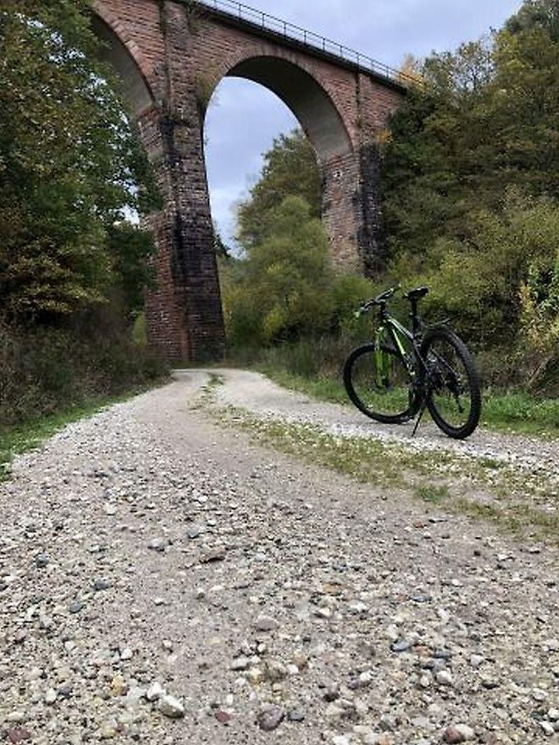 Wald  Wiesen  Wacken Radweg 35ctej