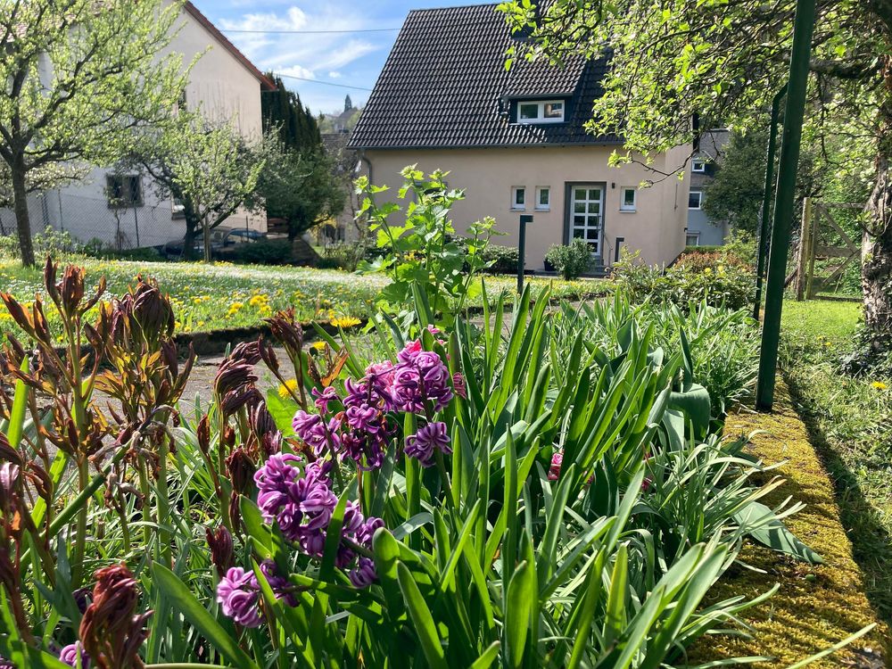 Ferienhaus im Obstgarten 1sdldc