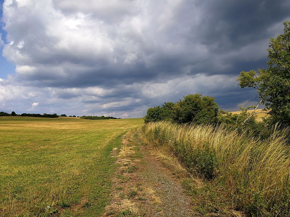 Nahesteig   Streckenwanderweg entlang der Oberen Nahe 375ne5