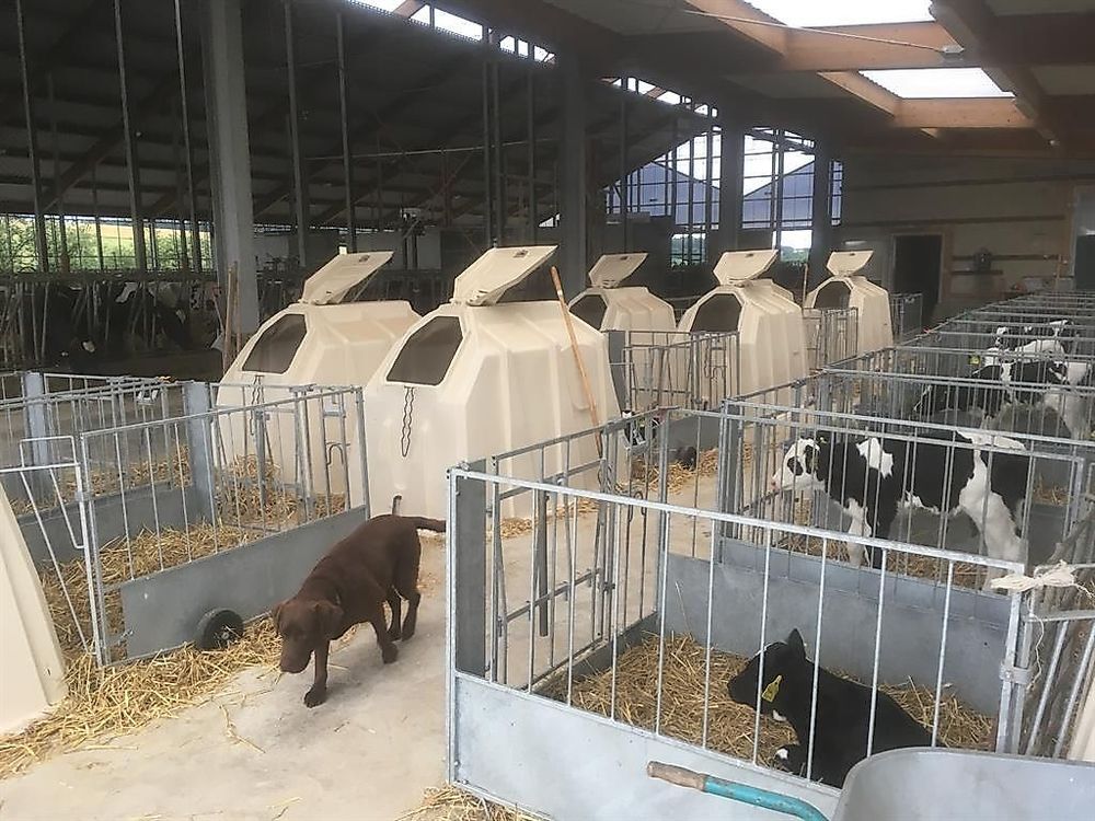 Ferienwohnungen Steinackerhof 1v2nw2
