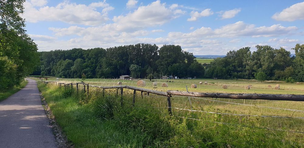 Guldenbachradweg 1v5ict