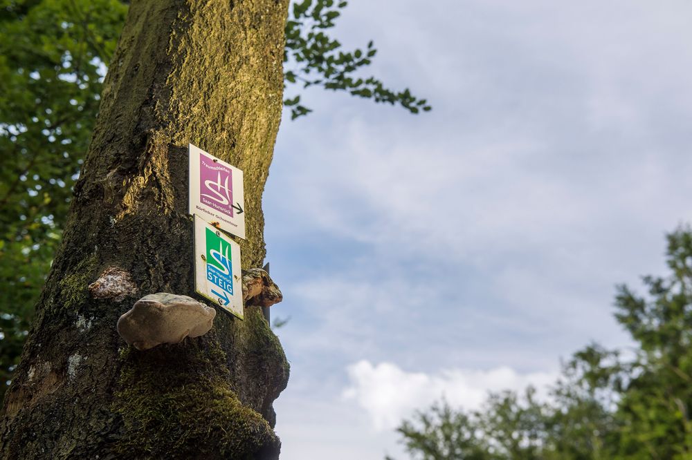 Nationalpark Traumschleife Börfinker Ochsentour 1zftb3