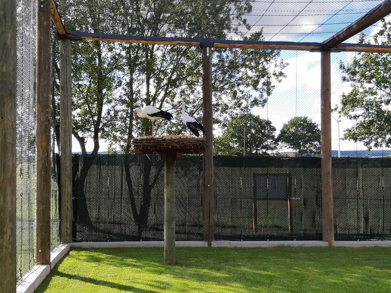 Naturerlebnispfad "Im Land von Milan, Storch & Co" 2bip63