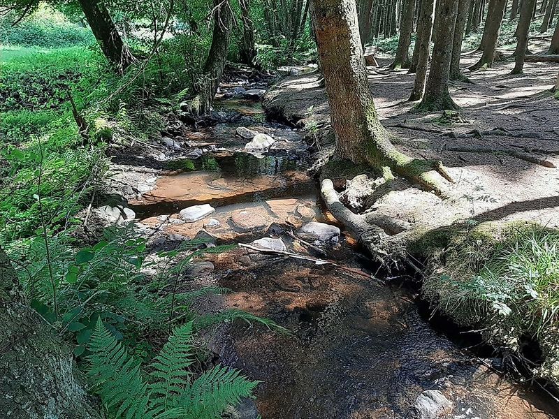 Traumschleife Felsenweg 2caeh9